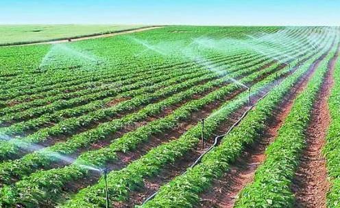 插插软件网站农田高 效节水灌溉